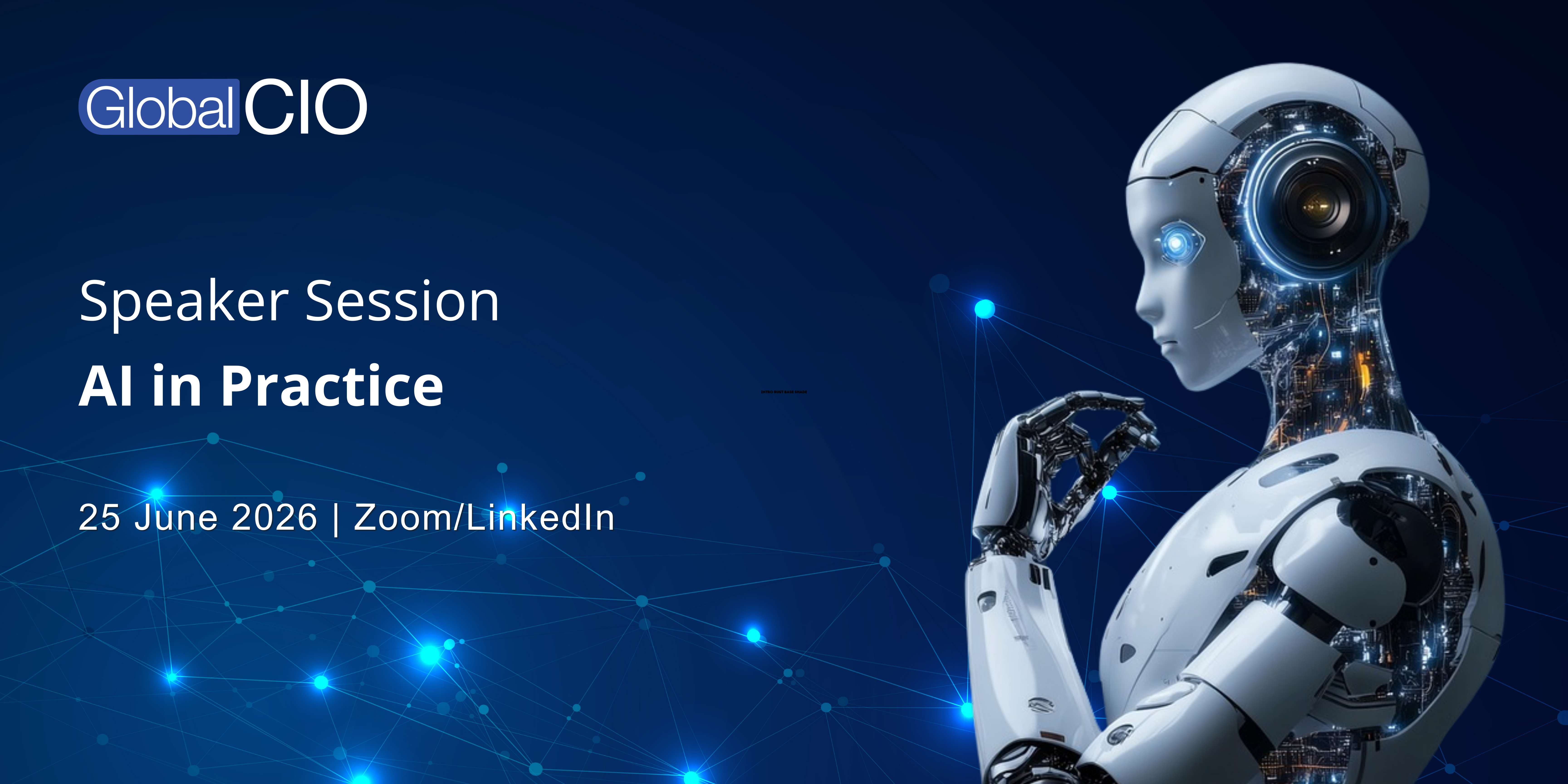 Speaker Session: AI in Practice (online)