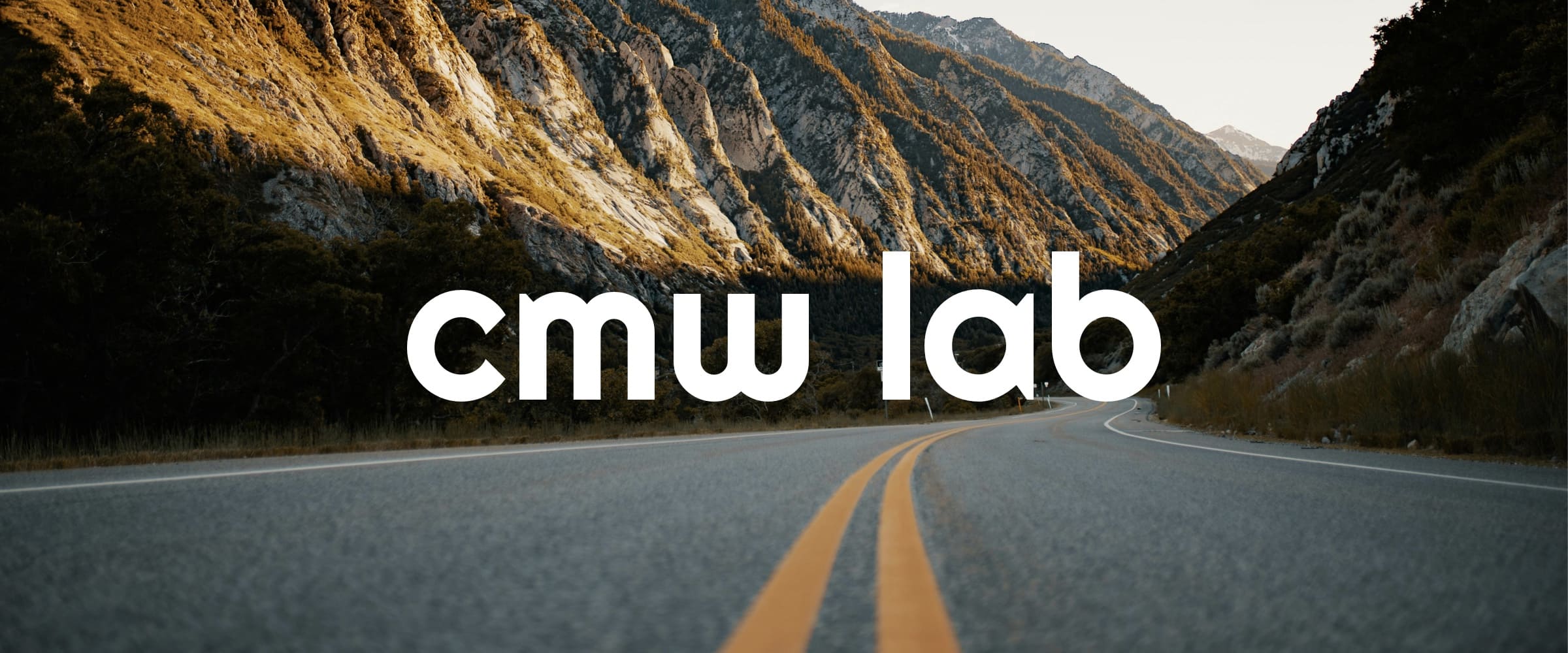 CMW Platform - Low-code business process management platform