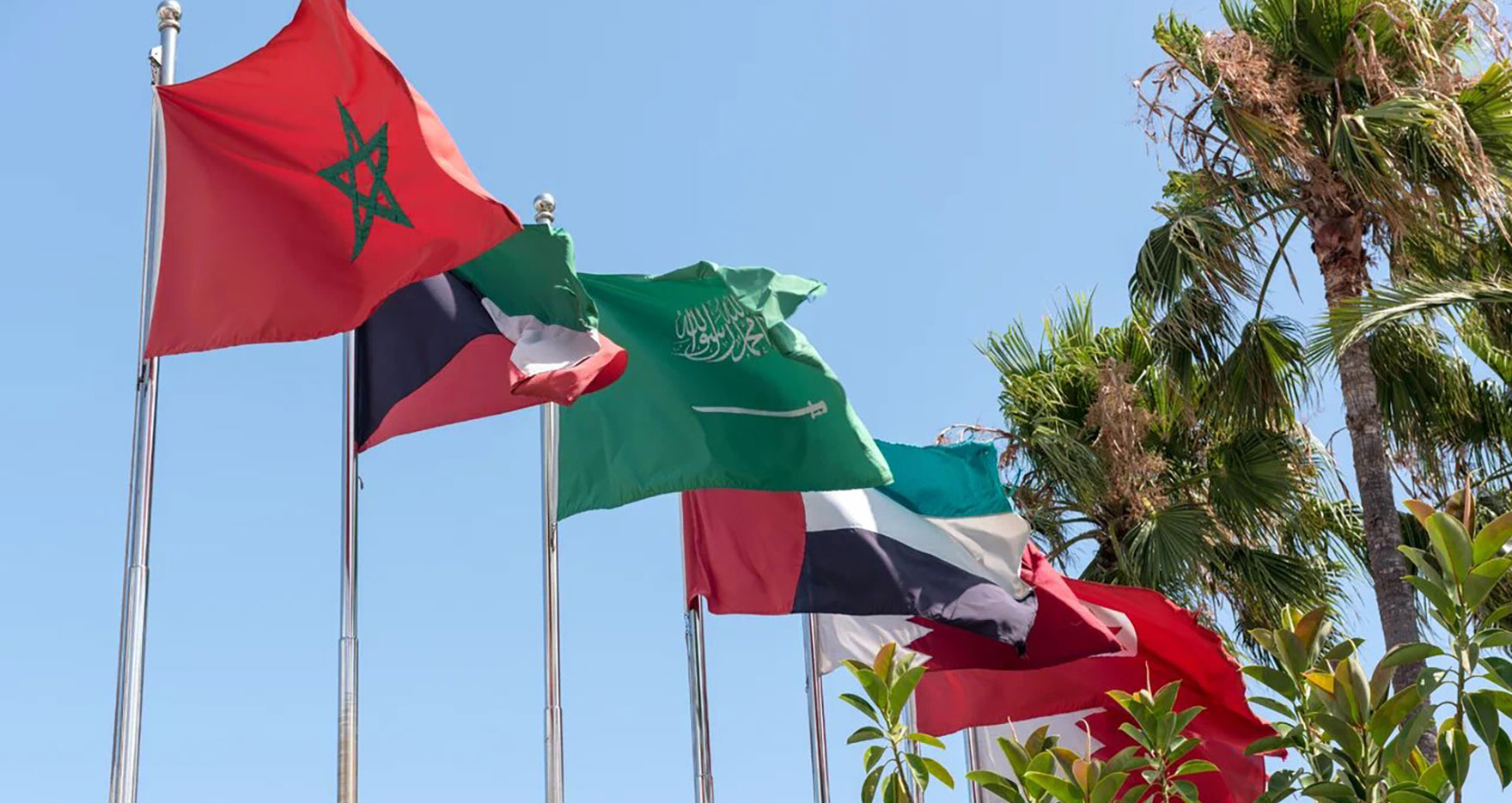 Digital Transformation in the Middle East and North Africa (MENA): AI, Smart Investments