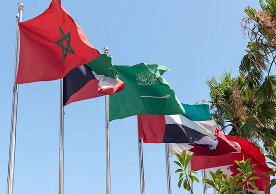 Digital Transformation in the Middle East and North Africa (MENA): AI, Smart Investments